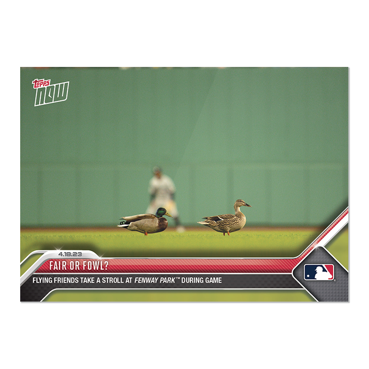 Fair or fowl? - 2023 MLB Topps NOW® Card 144 - PR: 1088