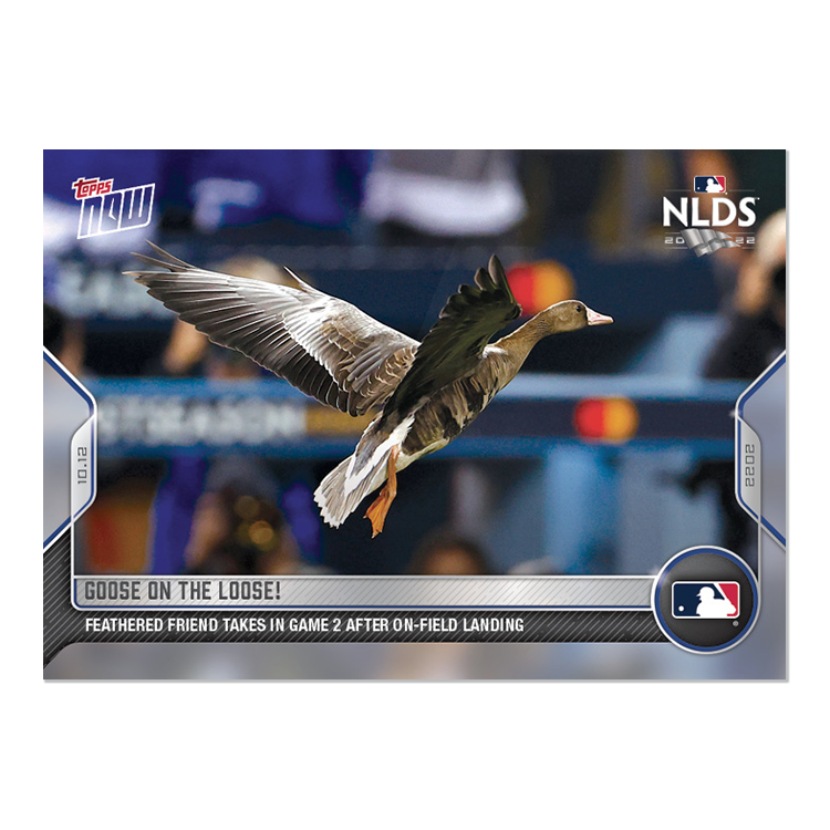 Goose on the Loose! - 2022 MLB Topps NOW® Card 1066 - PR: 2889